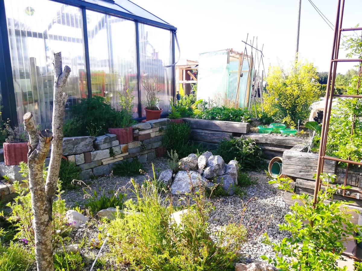 Natur- und Permakultur-Schrebergarten - Bild 7