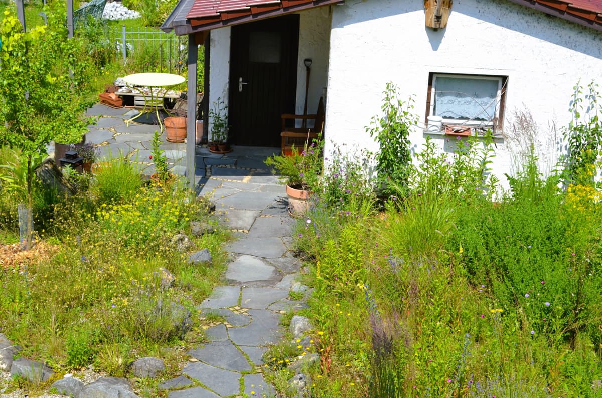 Natur-Erlebnis-Garten - Bild 8