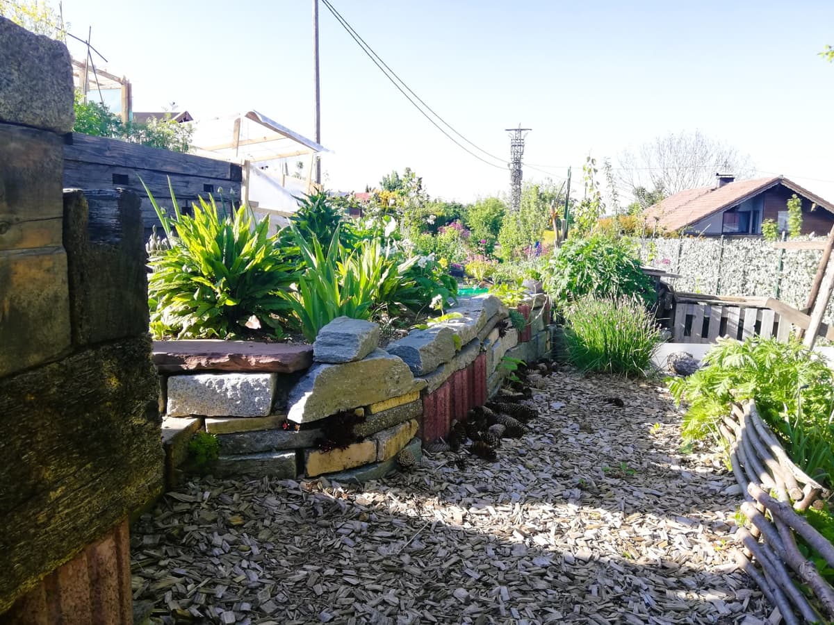 Natur- und Permakultur-Schrebergarten - Bild 8