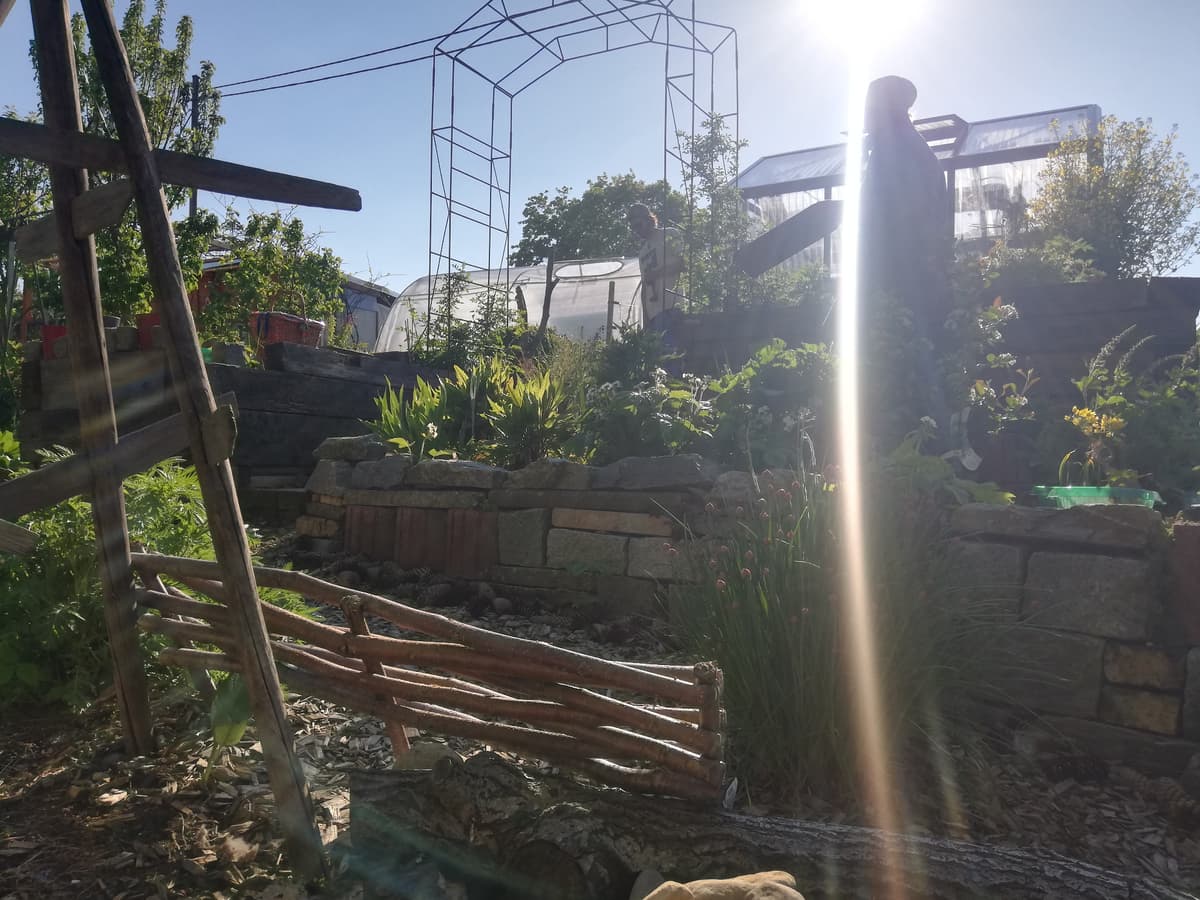 Natur- und Permakultur-Schrebergarten - Bild 9