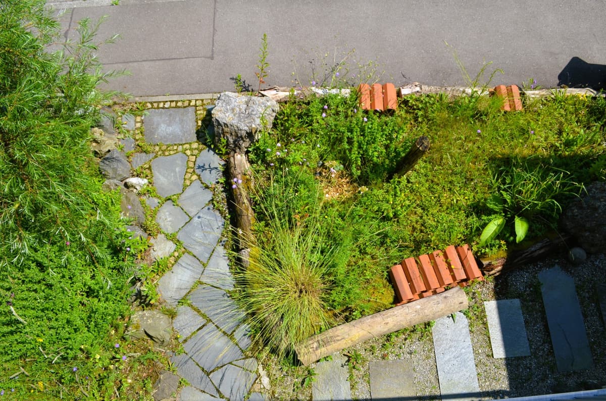 Natur-Erlebnis-Garten - Bild 9