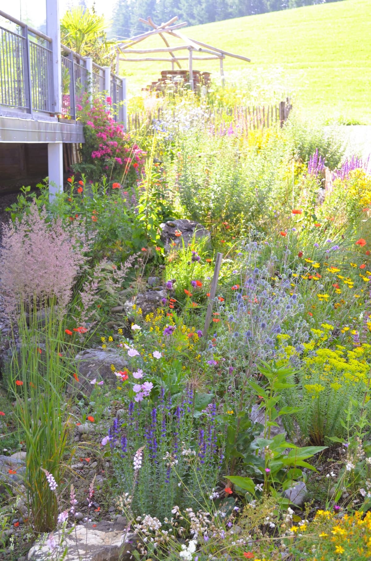 Natur- und Landschaftsgarten - Bild 9