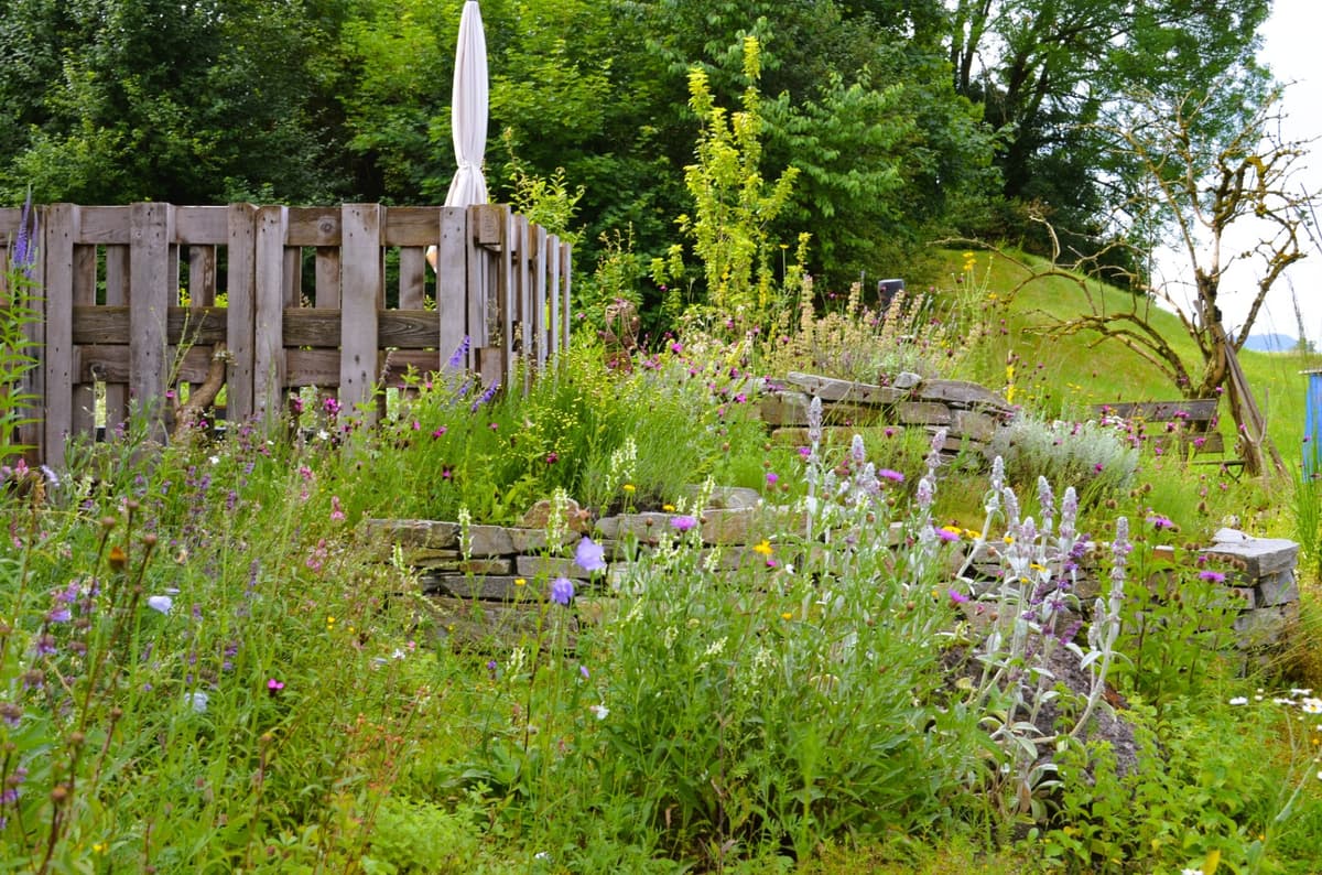 Selbstversorger-Naturgarten - Bild 9