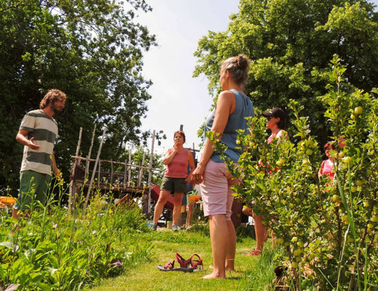 Gartenberatung