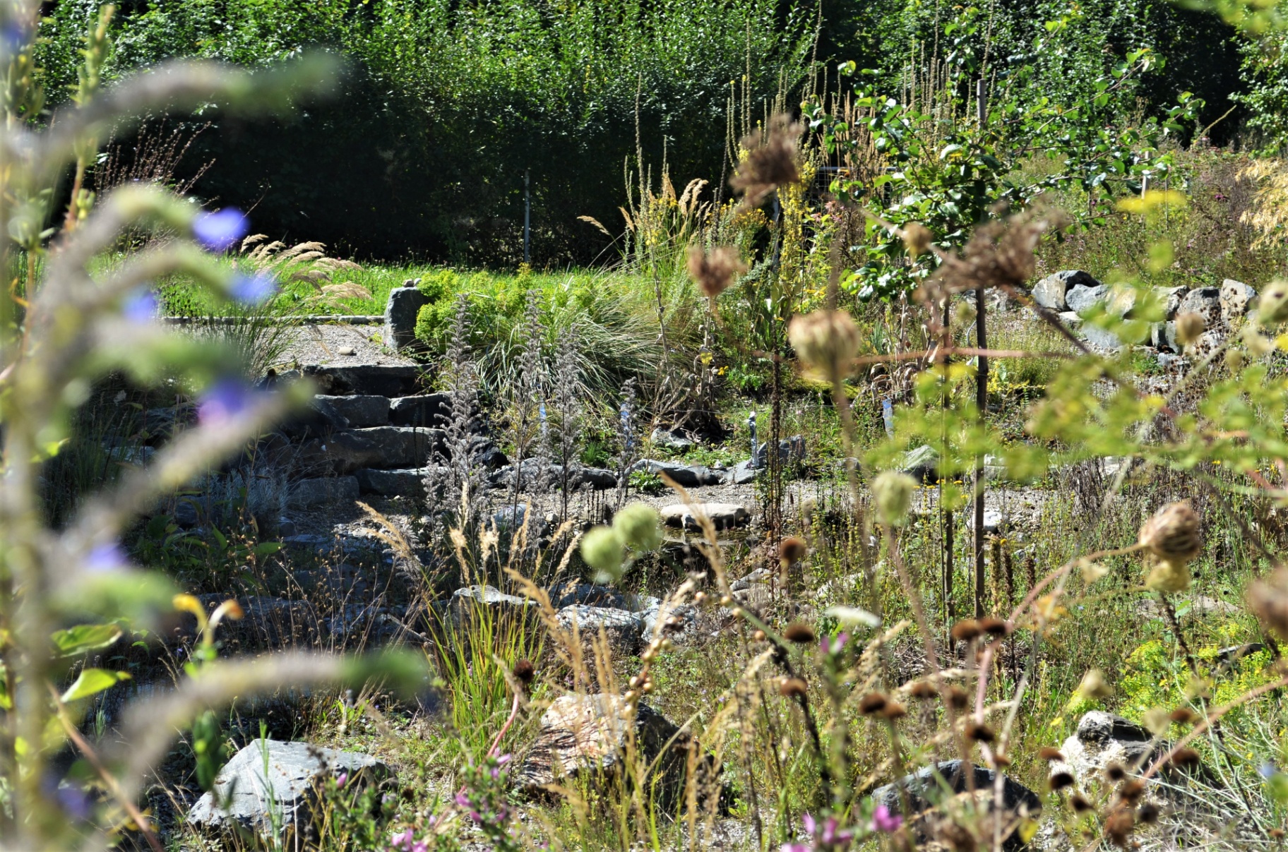 Naturnahe Gartengestaltung in Füssen