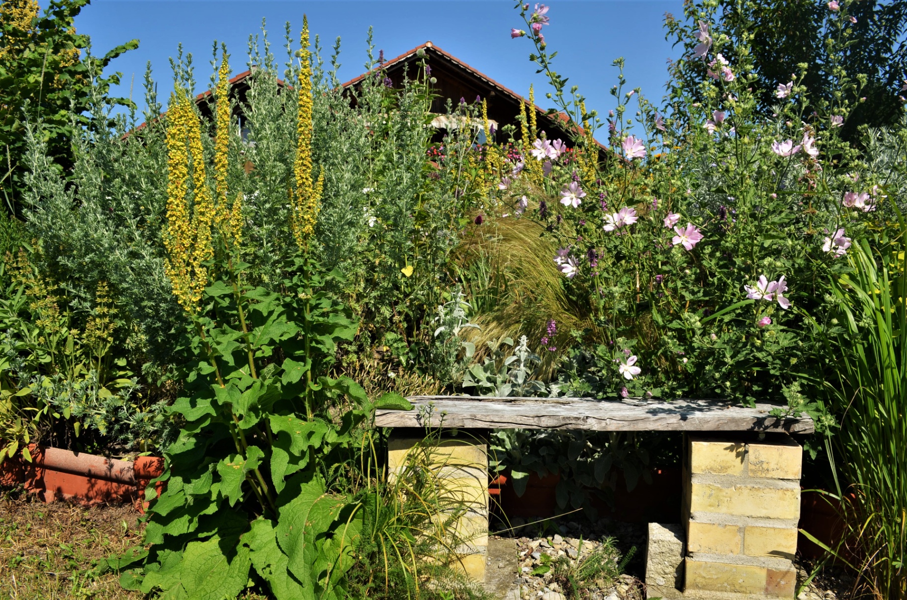 Blüh- und Duftgarten
