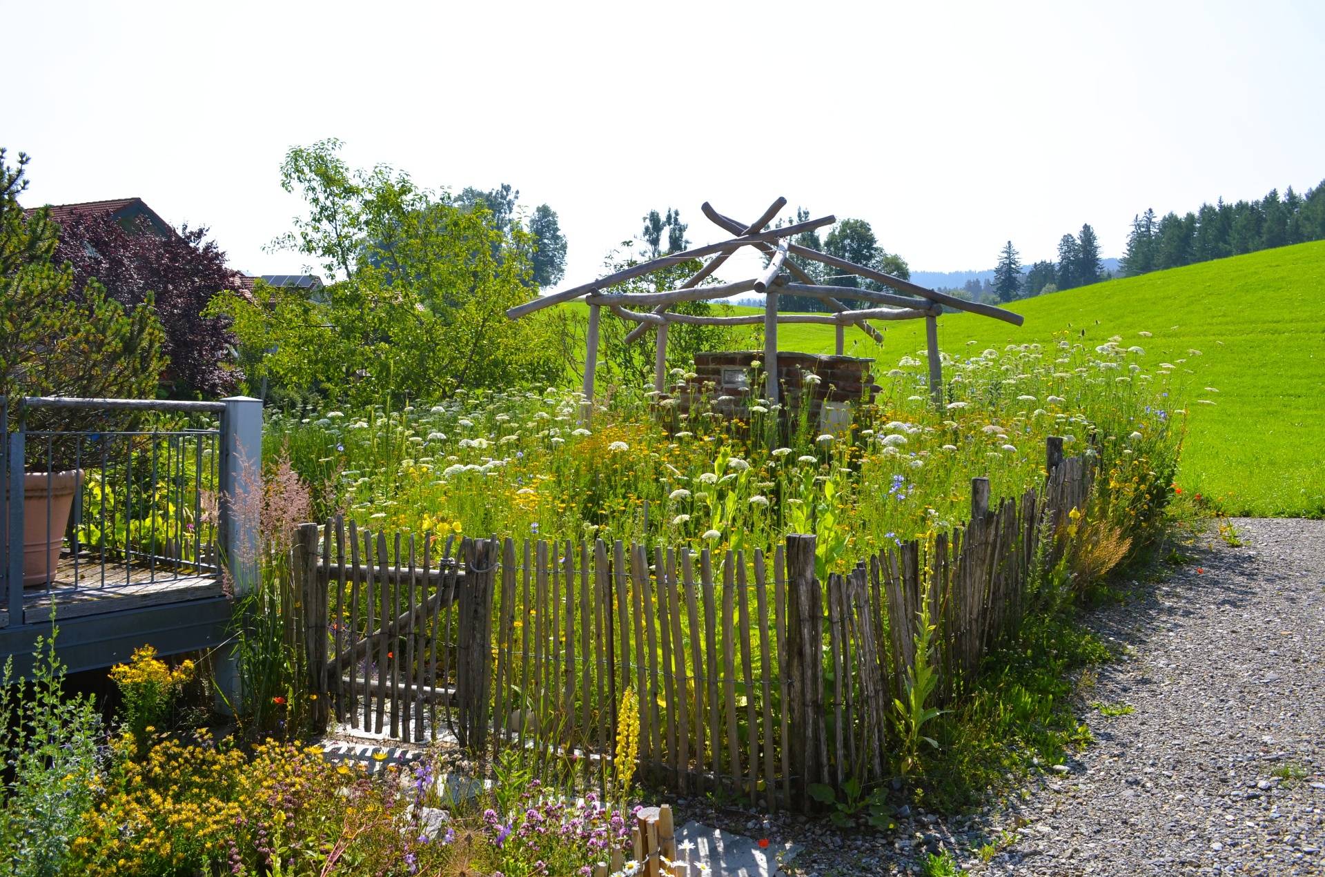 Natur- und Landschaftsgarten - Bild 12