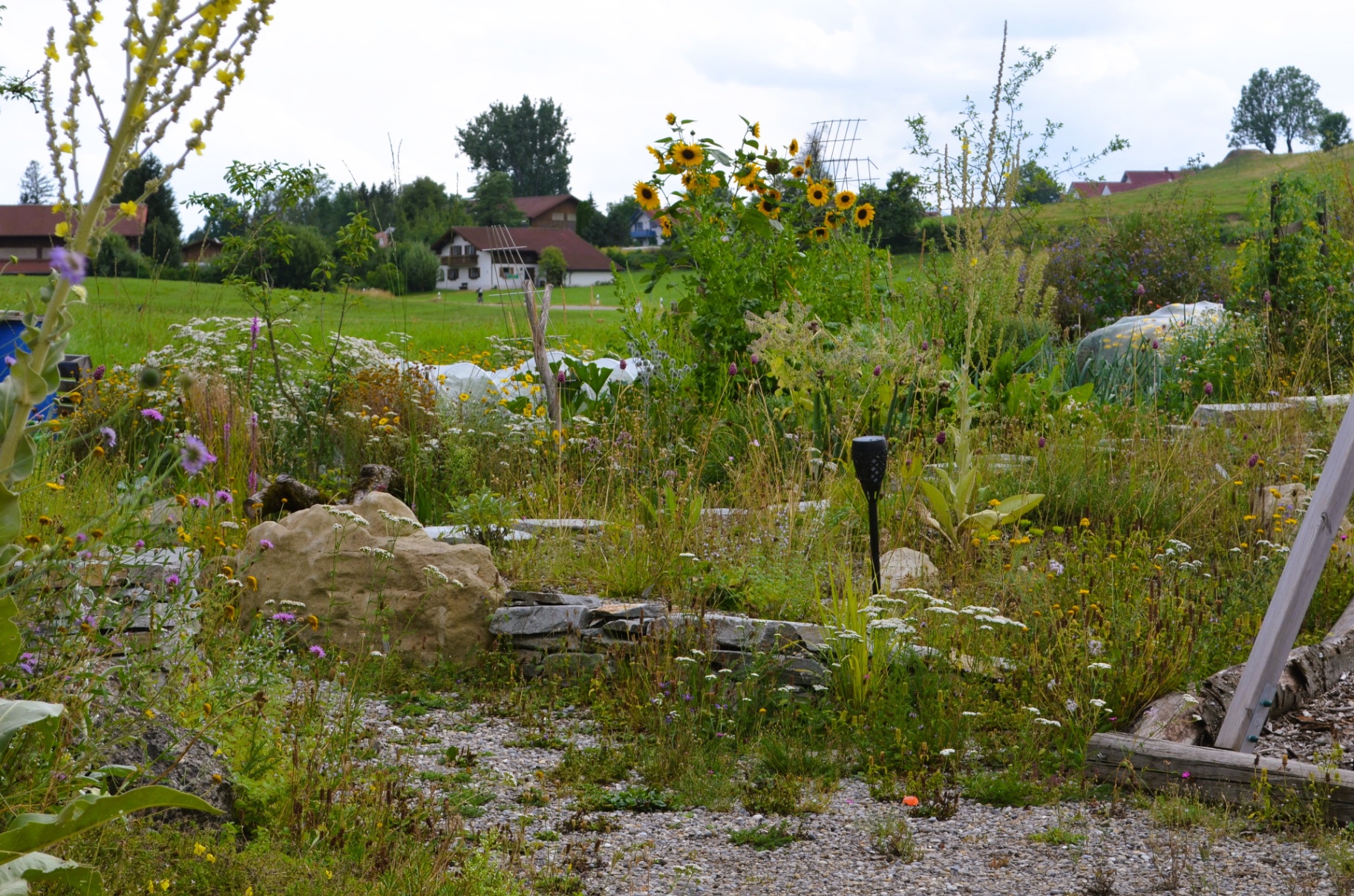 Selbstversorger-Naturgarten - Bild 13