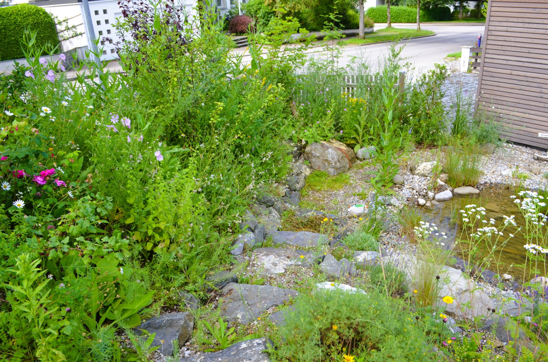 Natur-Paradies - Bild 17