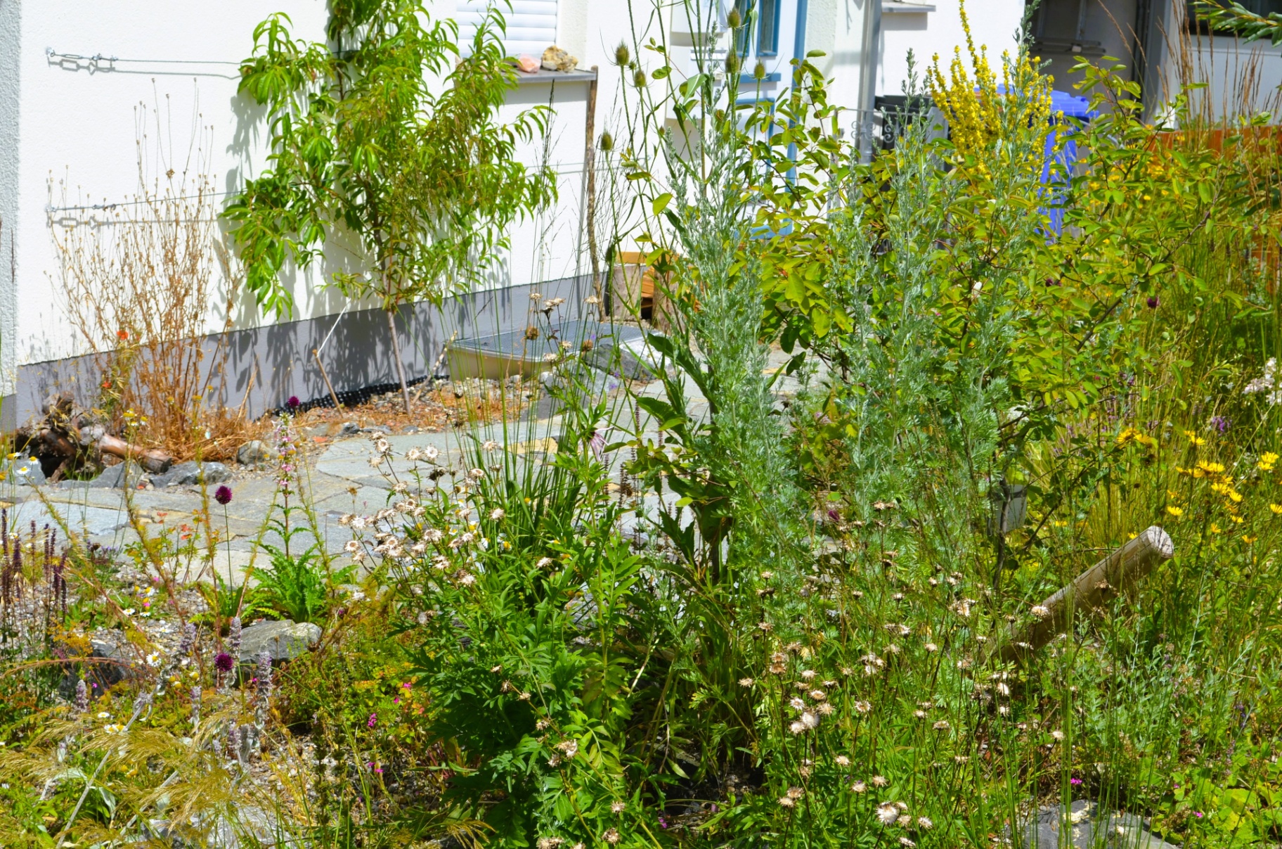 Ruhe und Erlebnis-Oase - Bild 18