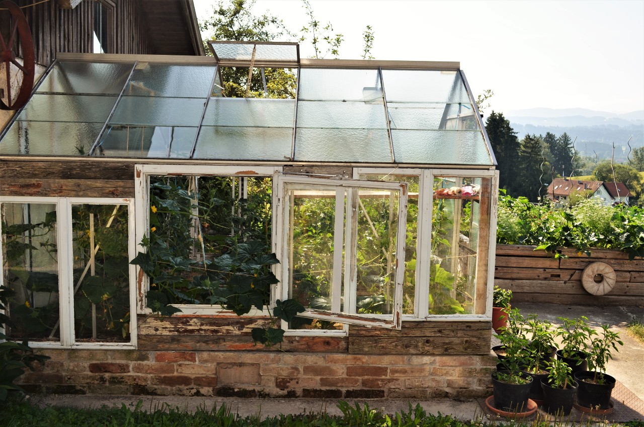 Permakultur-Selbstversorger Garten - Bild 19