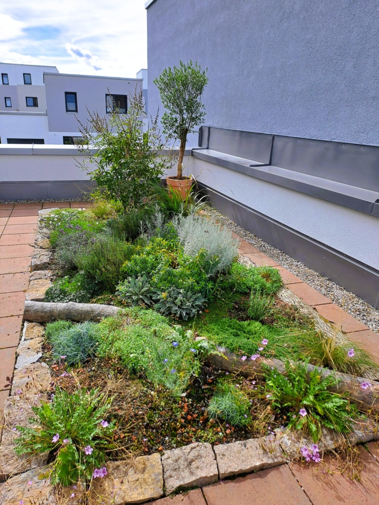 Oase der Vielfalt - Bild 2