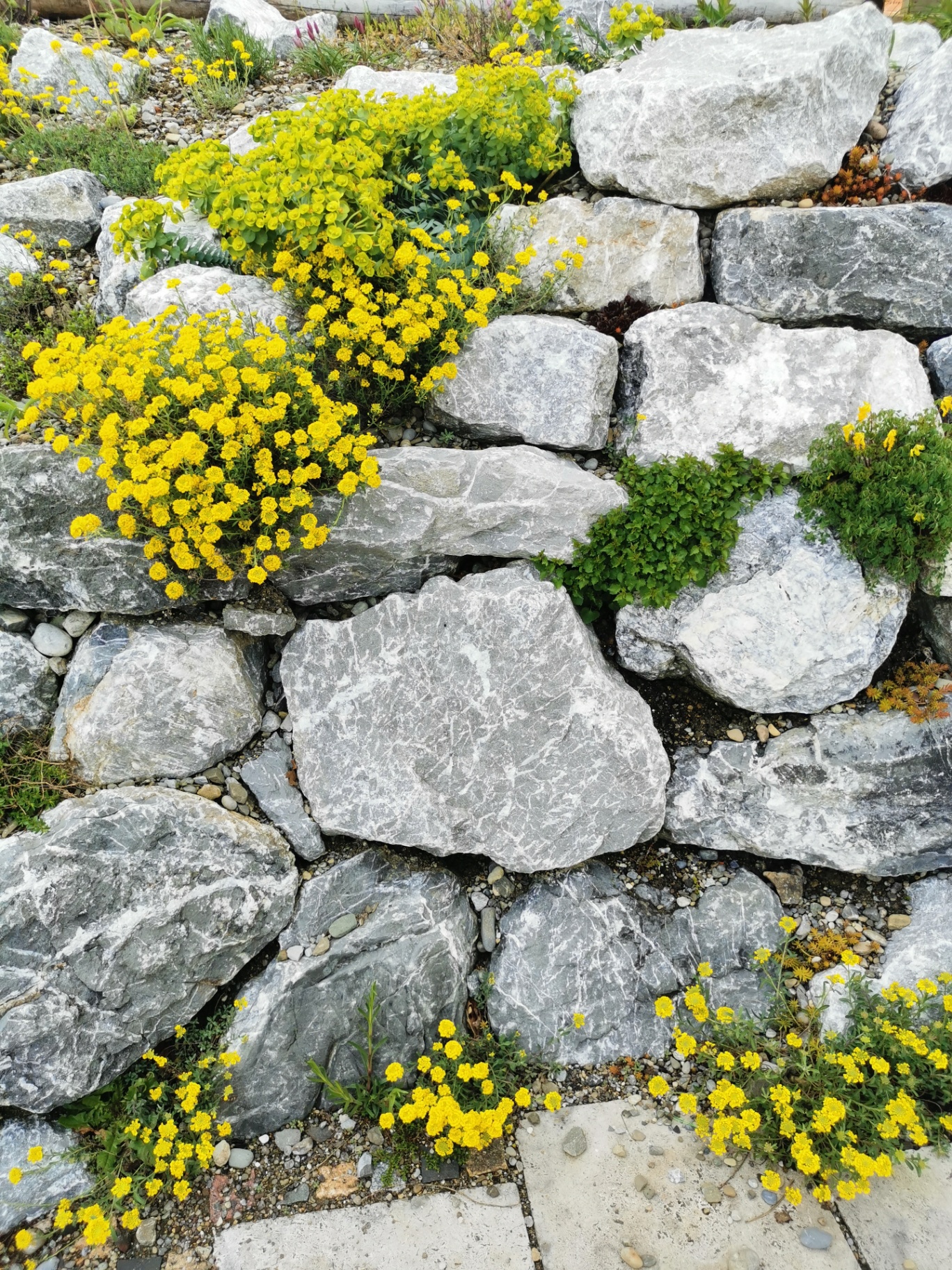 Natur-Paradies - Bild 20