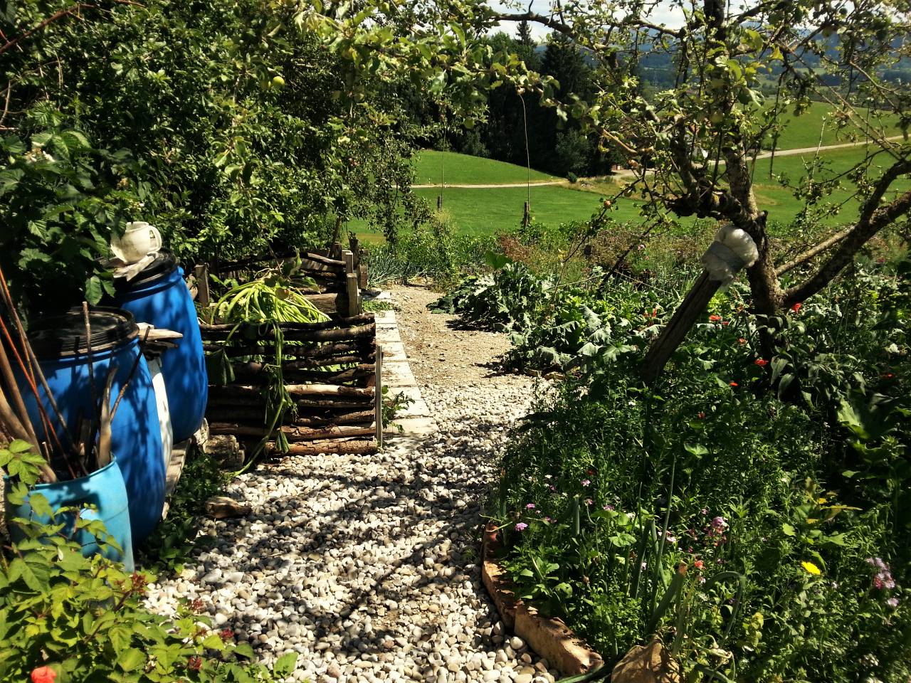 Permakultur-Selbstversorger Garten - Bild 28