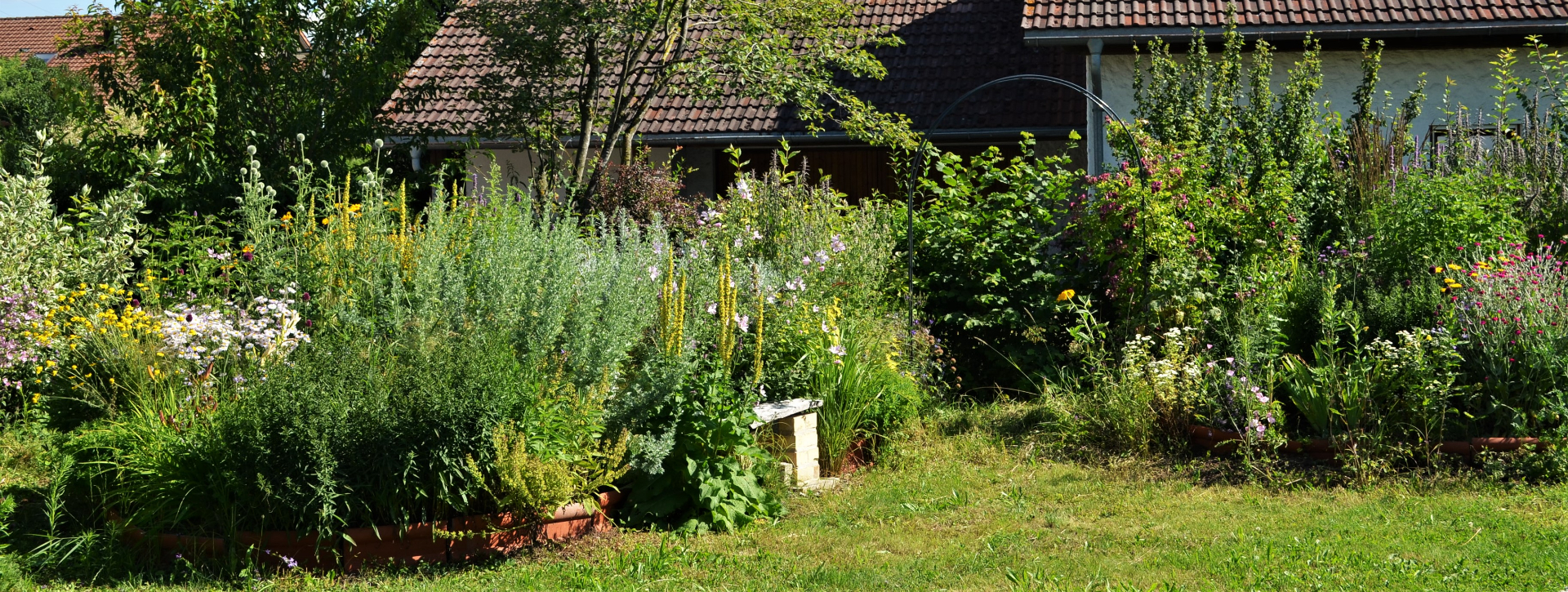 Blüh- und Duftgarten - Bild 4