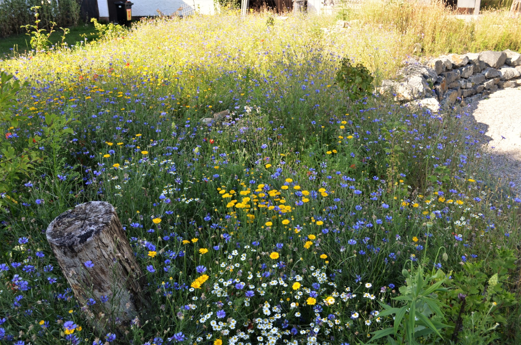 Natur-Erlebnis-Garten - Bild 5