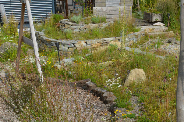 Selbstversorger-Naturgarten - Bild 5