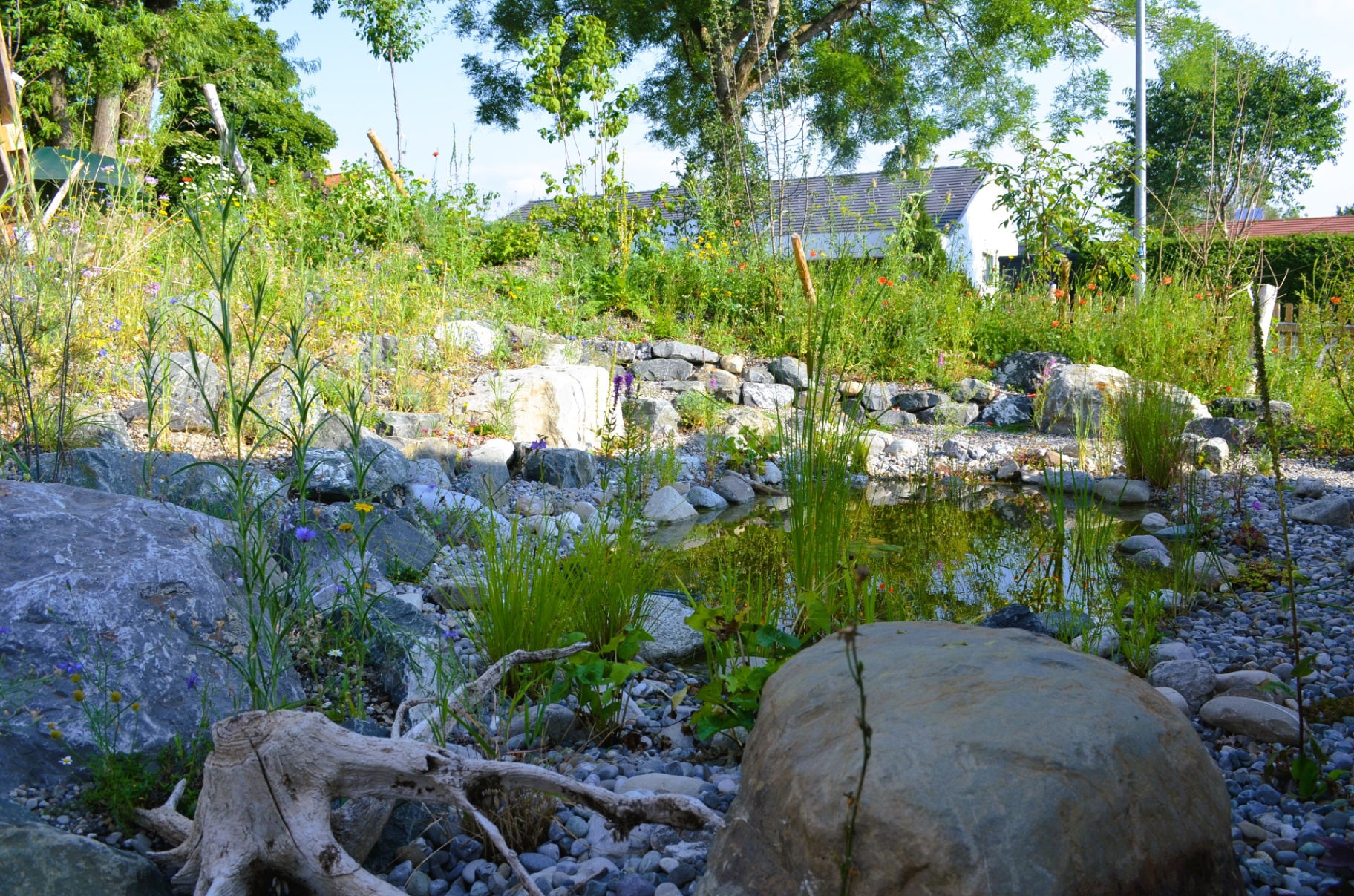 Natur-Paradies - Bild 6