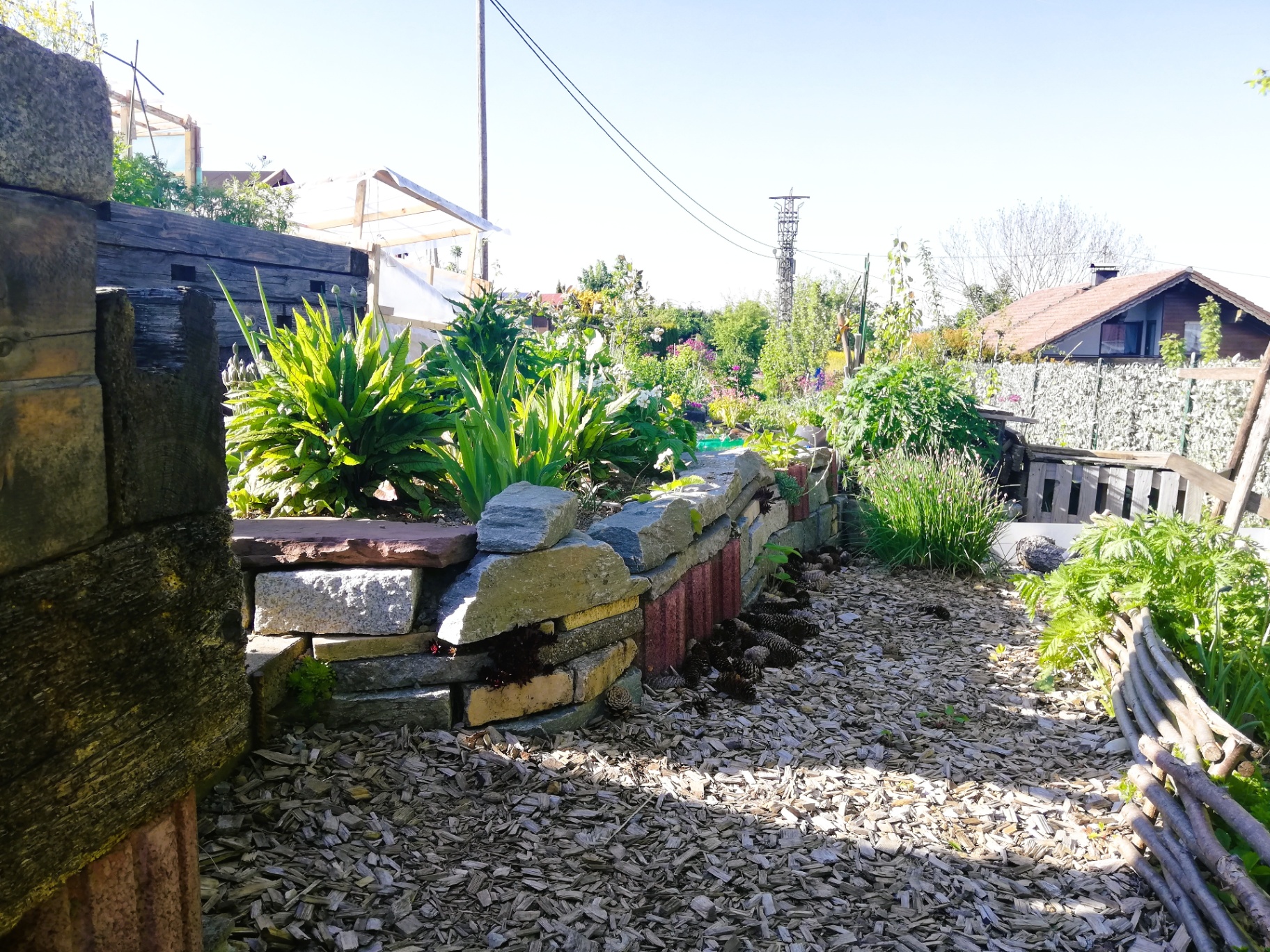 Natur- und Permakultur-Schrebergarten - Bild 8